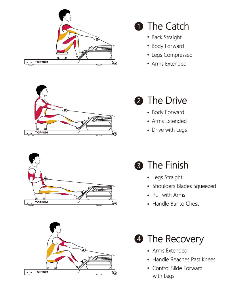 Pilates Rowing - Exercise How-to - Skimble Workout Trainer