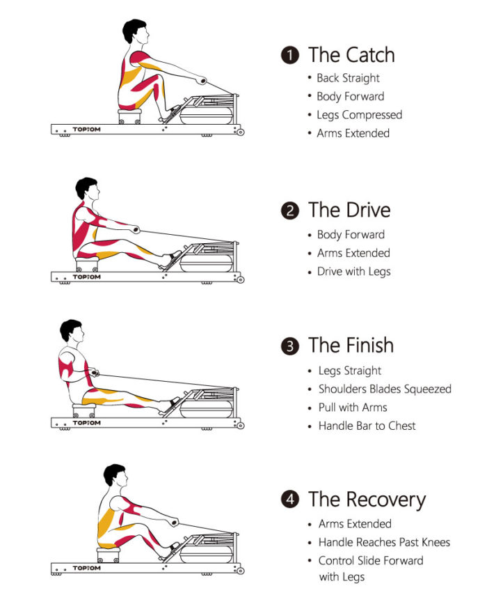 Indoor Rowing Technique Step By Step 700x864 